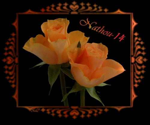 Pour mon amie Nathalie " nathou-14 "